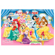 Disney Princess公主(5)拼圖300片, size:26x38cm