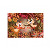 Chip an' Dale奇奇蒂蒂300塊砌圖, size：26×38cm