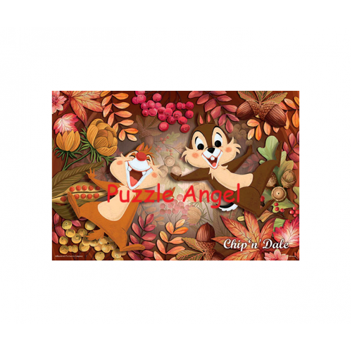Chip an' Dale奇奇蒂蒂300塊砌圖, size：26×38cm