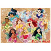 Disney Princess公主拼圖520塊,  size:38x53cm