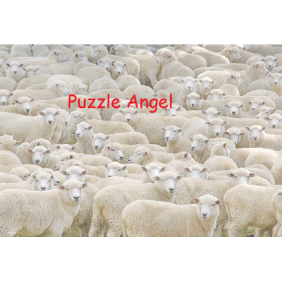 睡覺1000 塊, 世界最小迷你版砌圖 , size:26x38cm