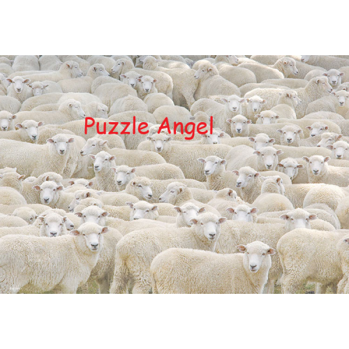 睡覺1000 塊, 世界最小迷你版砌圖 , size:26x38cm