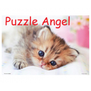 Cat 300塊,  size:26x38cm