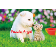 愛的感情 300塊,  size:26x38cm