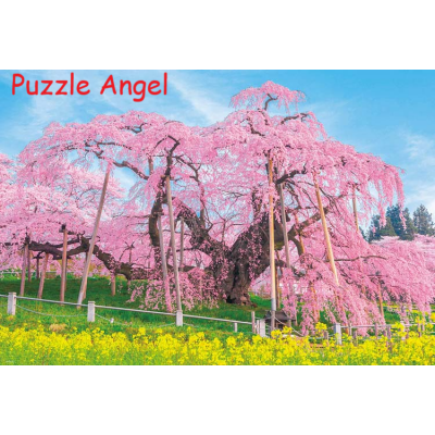 風景-御春瀧櫻花1000塊砌圖, size:49x72cm
