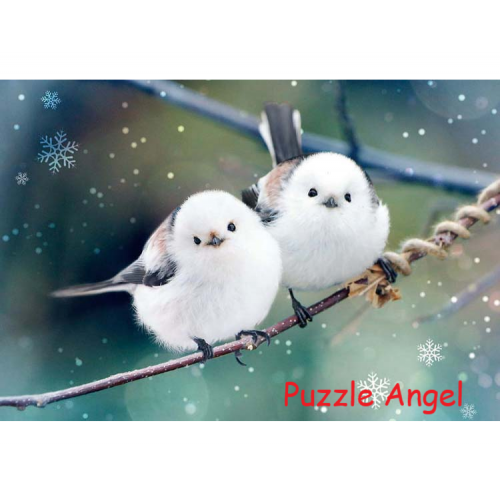 斑馬蛾300 塊拼圖, size:26x38cm