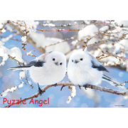 蓬鬆斑馬蛾 300 塊拼圖,  size:26x38cm