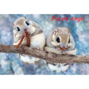 Mogumogu 蝦夷松鼠 300 塊拼圖,  size:26x38cm