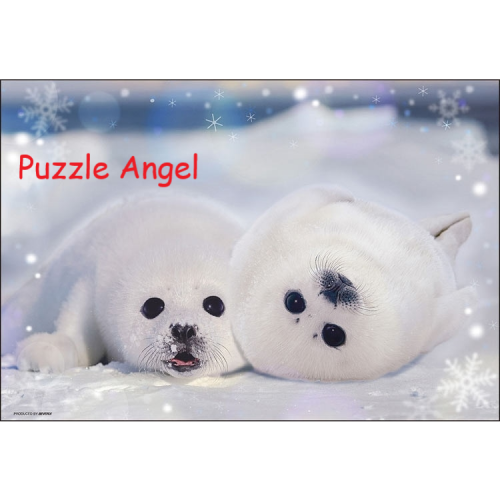 Seal幼稚園300 塊砌圖, size:26x38cm