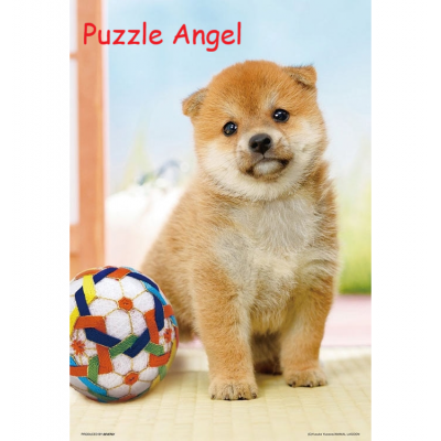 圓形柴犬300 塊砌圖, size:26x38cm