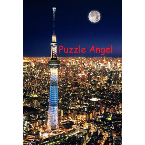 東京晴空塔夜景300 塊,  size:26x38cm