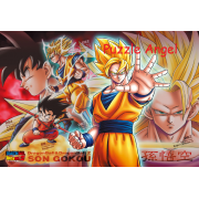 龍珠300塊,  size:26x38cm