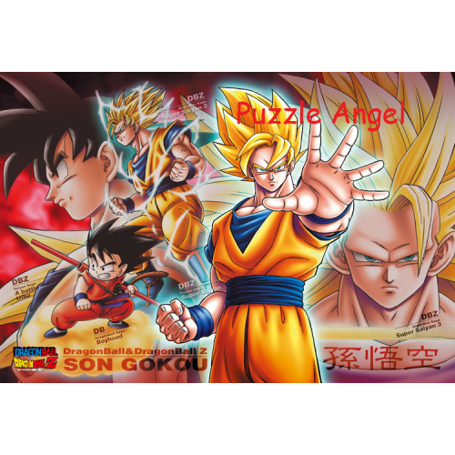 龍珠300塊,  size:26x38cm