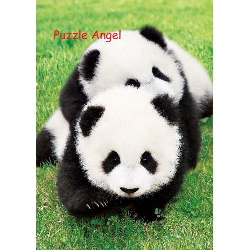 Panda 108 塊拼圖, size:18.2x25.7cm