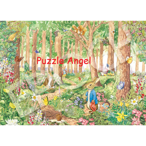 彼得兔TM與班傑明兔TM（彼得兔）500塊砌圖,  size:38x53cm