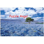 風景-Nemophila Blooming Hill - 茨城1000塊砌圖, size:50x75cm