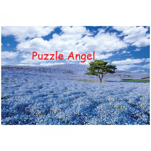 風景-Nemophila Blooming Hill - 茨城1000塊砌圖, size:50x75cm