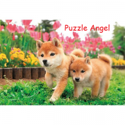 讓我們一起奔跑吧！300 塊拼圖, size:26x38cm