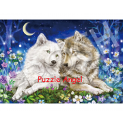 Forever Love （Kayomi Harai） 300 塊拼圖, size:26x38cm