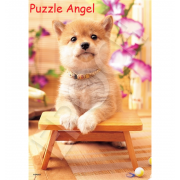 Doggie Hiyori 300塊,  size:26x38cm