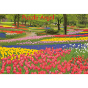 盛開的昭和紀念公園（東京）108塊, 大片裝砌圖,  size:26x38cm