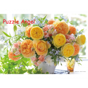 花星 300 塊, size：26×38cm